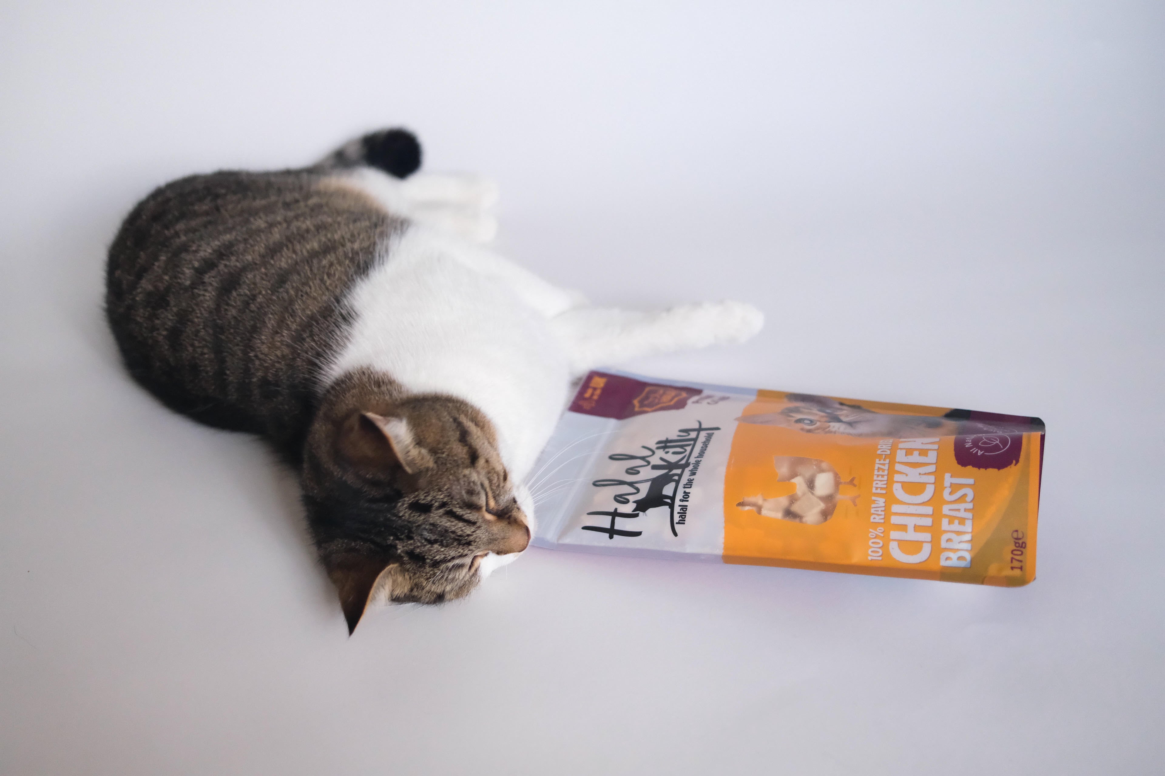 Penny the cat, Halal Kitty's chief taste tester